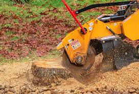 Best Stump Grinding and Removal  in Diamond Springs, CA